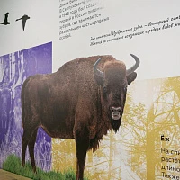 «Лучшие мамы среди животных». Музейное занятие