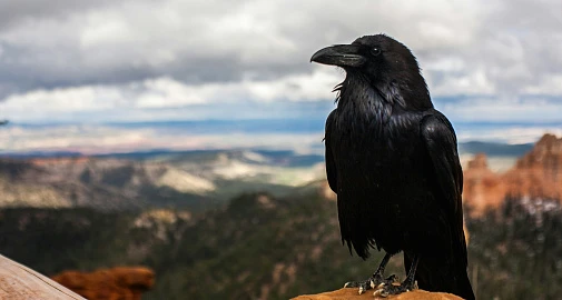 «Академия для малышей». Цикл музейных занятий
